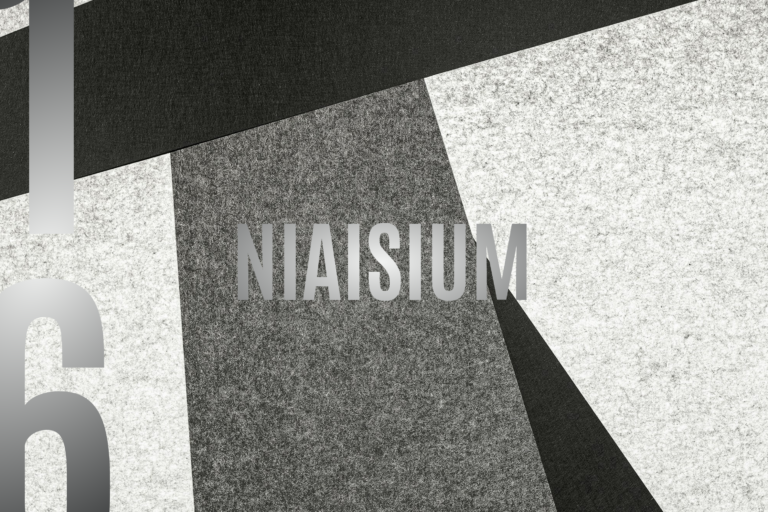 couverture de "Niaisium", la 16e nouvelle du projet "horizons parallèles - espaces négatifs" de l'auteur SAÏD