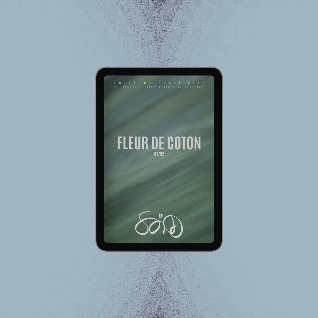 couverture de la nouvelle "fleur de coton" par SAÏD